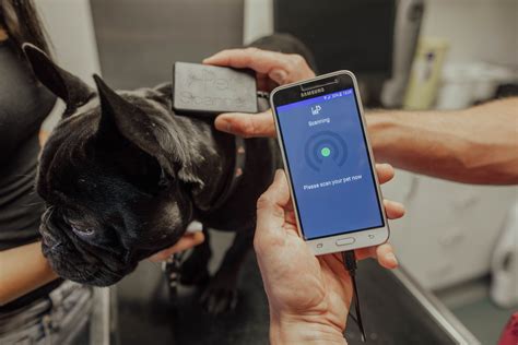 can you track your rfid chipped pet|microchips for pets.